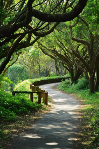 乡间小路公园草