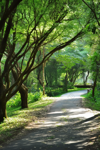 乡间小路公园草地