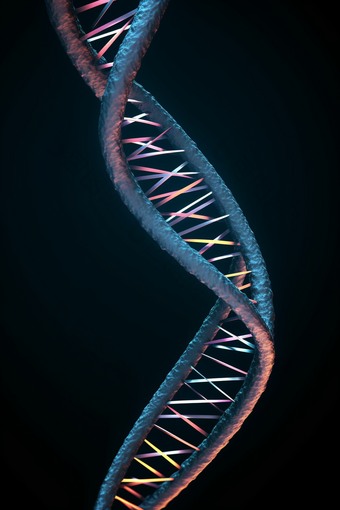 DNA双螺旋结构遗传构成