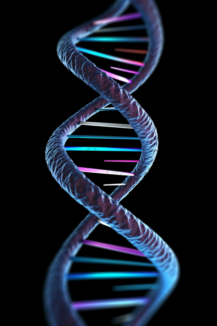 双螺旋结构遗传研究图片-包图网