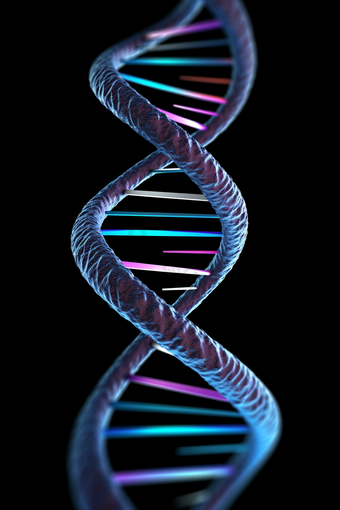 DNA双螺旋结构遗传研究
