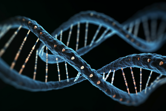 DNA双螺旋结构遗传重组