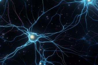 神经元细胞轴突神经末梢