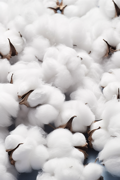 棉花产品摄影图8
