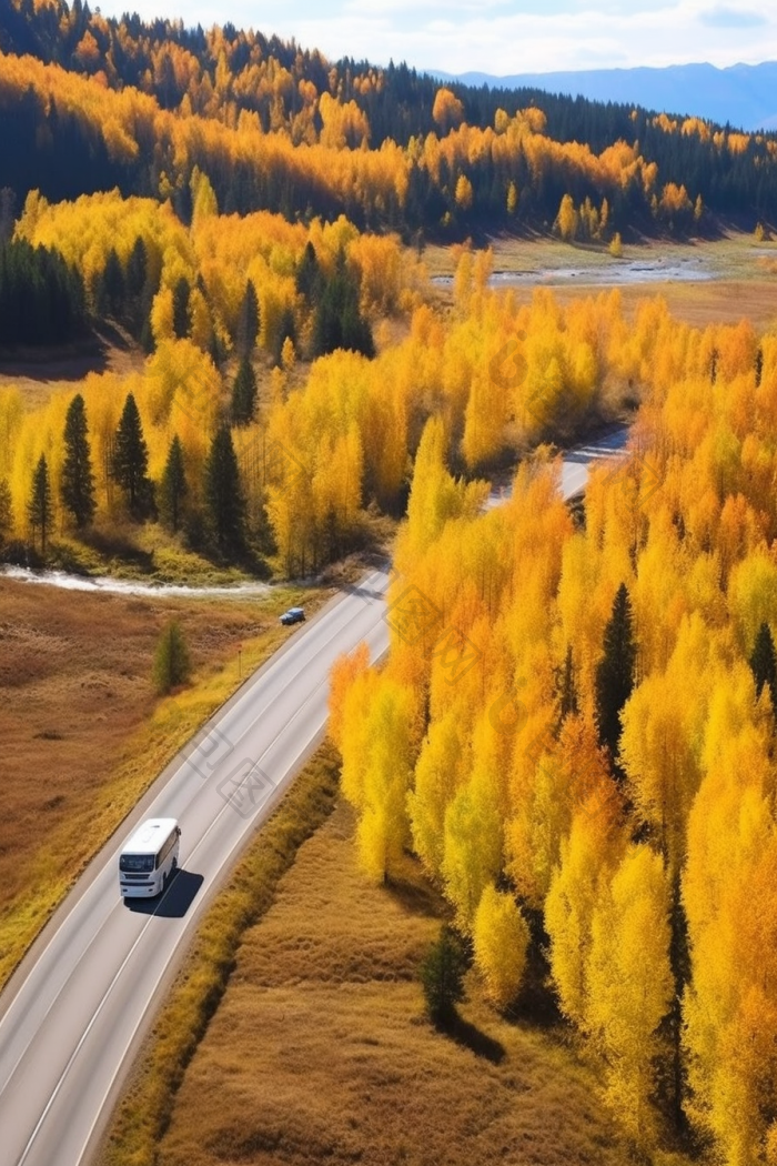 秋天森林道路秋季旅游公路秋色高清图片下载-包图网