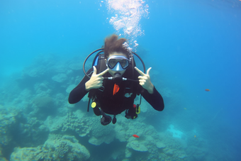 在海洋里潜水潜水者海底生物