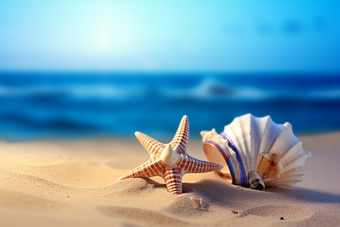 沙滩上的海螺<strong>海边风景</strong>壳
