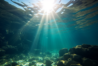 深海风景深海生态深海生物