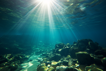 深海风景海底壮观深海生物