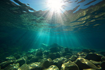 深海<strong>风景</strong>深海生态深海探险