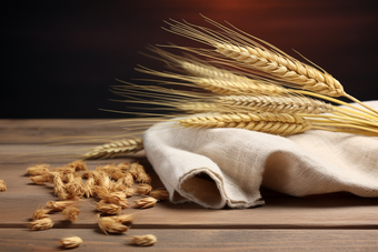 小麦商业禾本科蛋白质