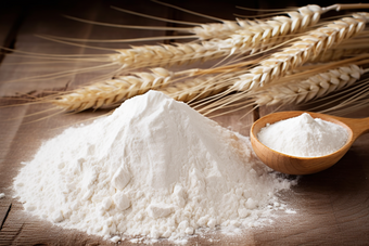 小麦加工面粉蛋白质麦醇溶蛋白