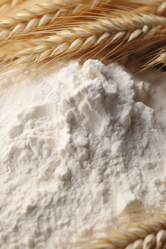 面粉营养麦醇溶蛋白
