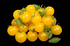 黄色小番茄摄影图11