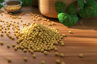 大豆商业蛋白质钙