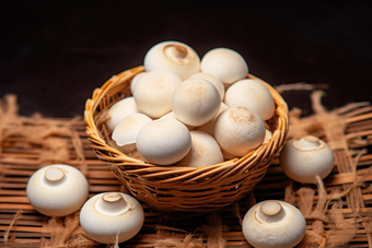 白蘑菇菌类食材商业摄影摄影图