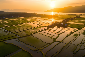 鱼类<strong>海鲜</strong>餐饮生鲜河鲜鲫鱼人工养殖摄影图