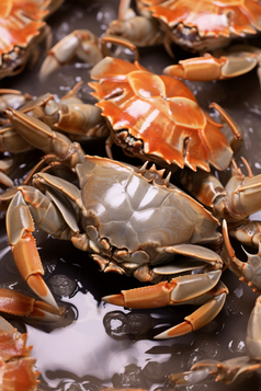 水产蟹类养殖海鲜餐饮生鲜河鲜大闸蟹生鲜摄影图