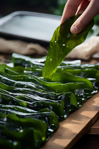 水产海藻类养殖海鲜餐饮生鲜河鲜海带摄影图