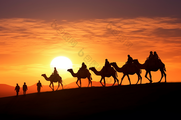 沙漠骆驼旅游农业类摄影图