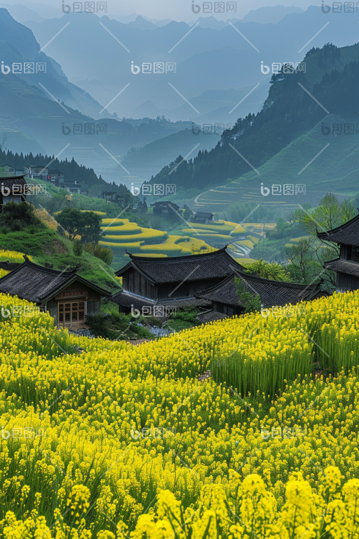 春季宁静的农村油菜花海高清图片下载-包图网