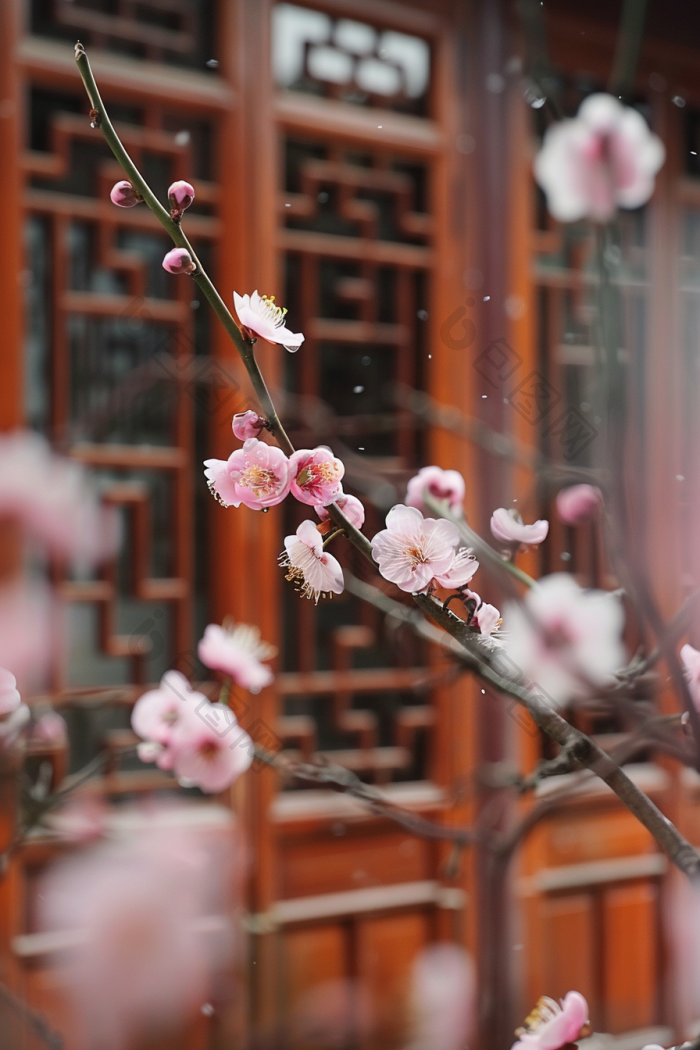 梅花古建筑高清图片下载-包图网