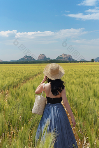 麦田小麦美女<strong>背影</strong>