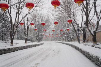 道路雪景城市道路立冬