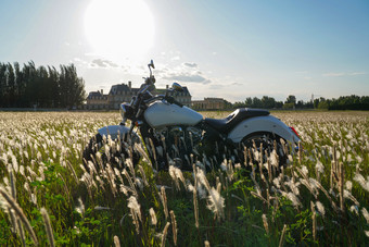 草地摩托车风景镜头