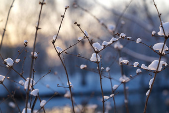 冬季雪景特写宁静镜头