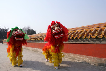 中国天坛舞狮表演摄影