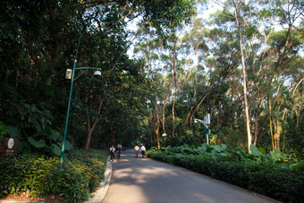 深圳莲花山市区现代场景