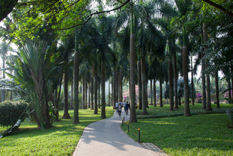 深圳莲花山城市水平构图低视角