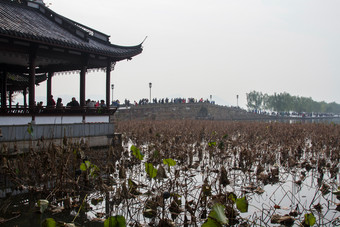杭州西湖摄影旅游目的地图片