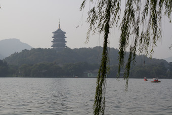 浙江省杭州西湖雷峰塔树场景