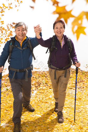 老年夫妻旅行女人落叶郊区摄影