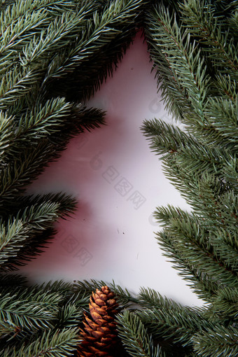 圣诞树圣诞树摄影照片