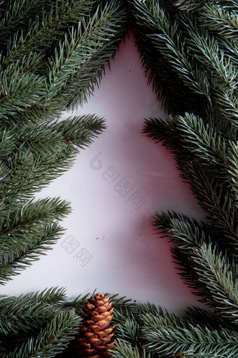 圣诞树圣诞树绿色传统节日影相