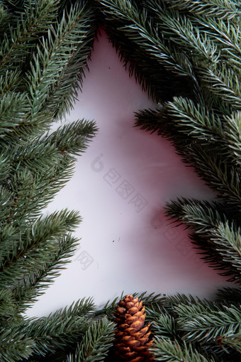 圣诞树圣诞树垂直构图素材