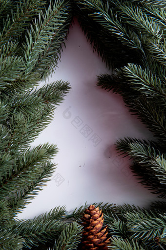 圣诞树圣诞树松果摄影图