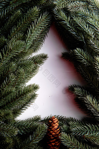 圣诞树圣诞树符号写实摄影
