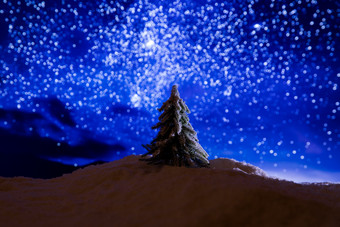 星空下的松树拍摄