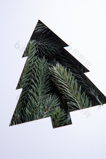 松针圣诞树概念相片