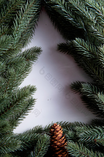 圣诞树圣诞树想法摄影图