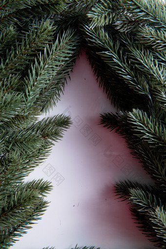 圣诞树圣诞树彩色图片场景
