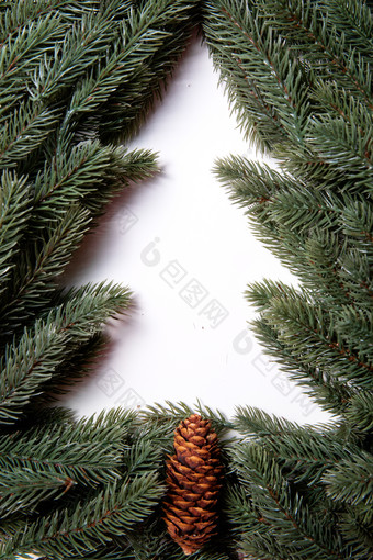 圣诞树圣诞树标志摄影