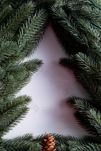 圣诞树圣诞树彩色图片形状摄影
