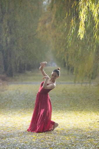 跳<strong>芭蕾舞</strong>舞者成年人树林时尚摄影图