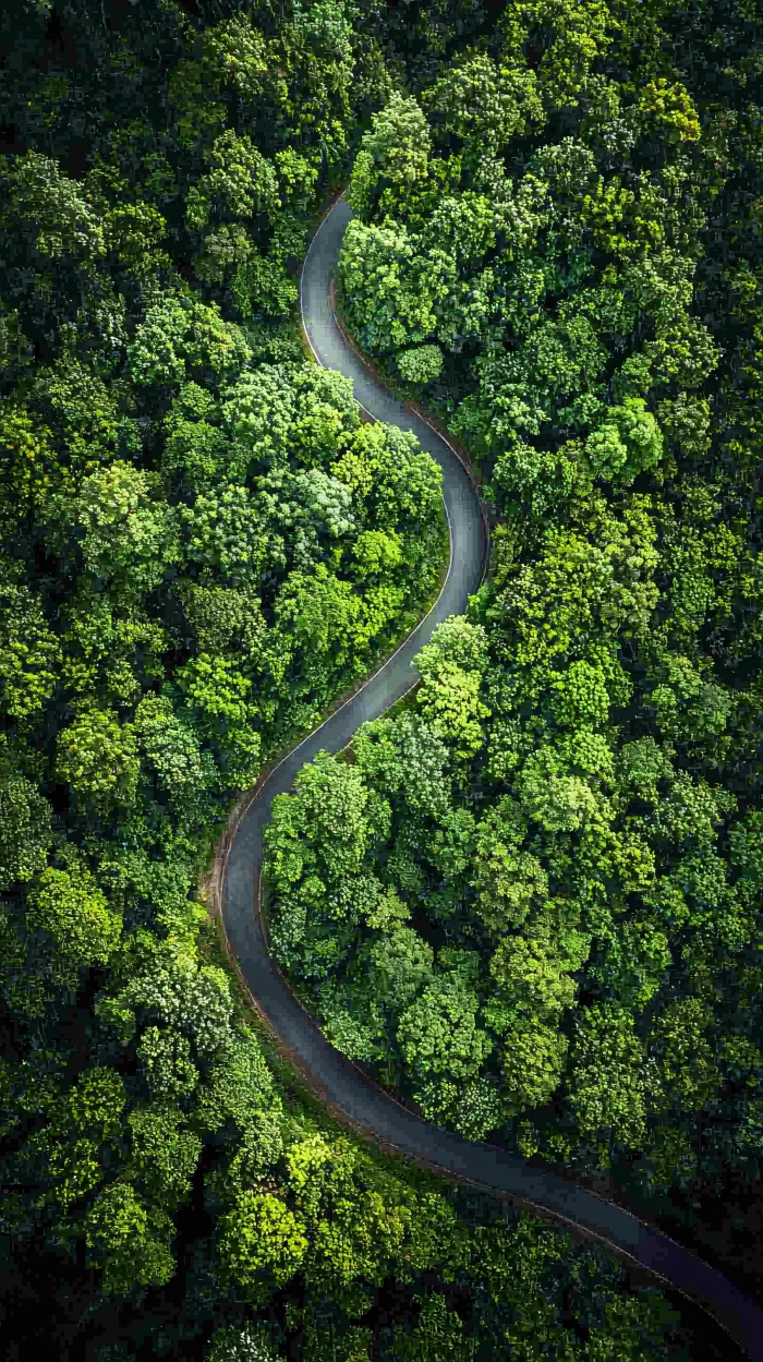 绿色森林公路俯瞰图图片-包图网企业站