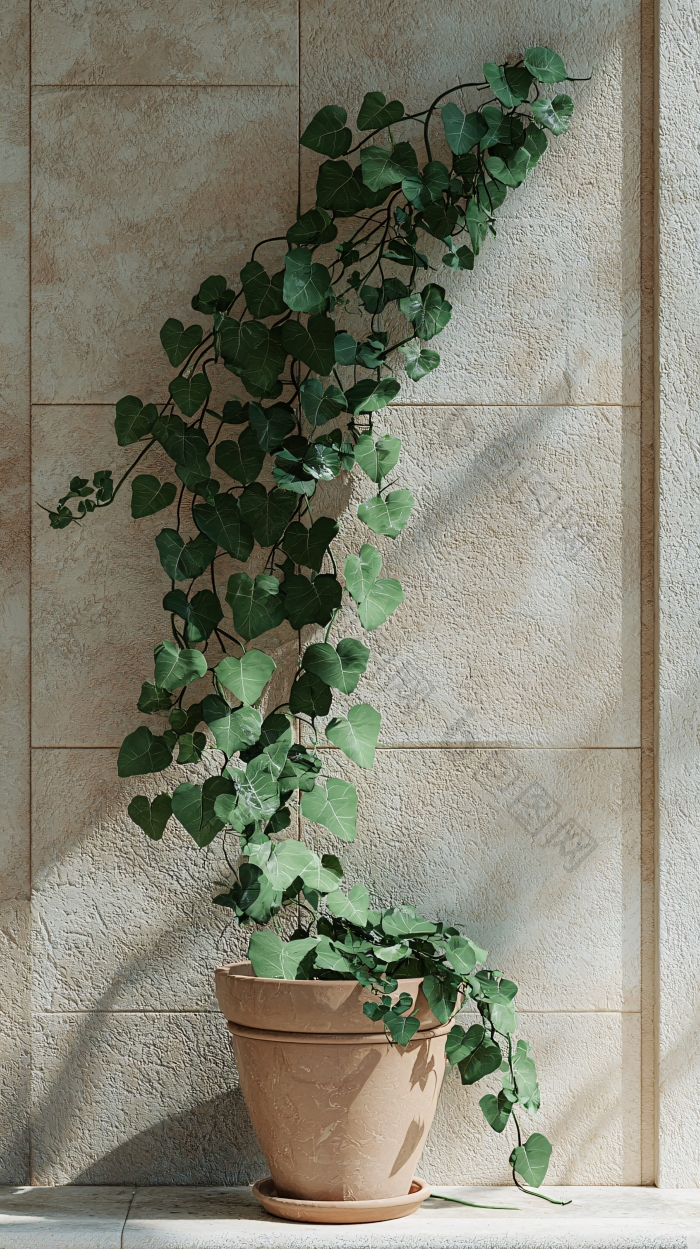 绿植盆栽家居绿植图片-包图网企业站